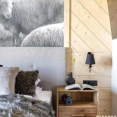 Teddy Bear 3* Zakopane